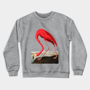 John J, Audubon Greater Flamingo Crewneck Sweatshirt